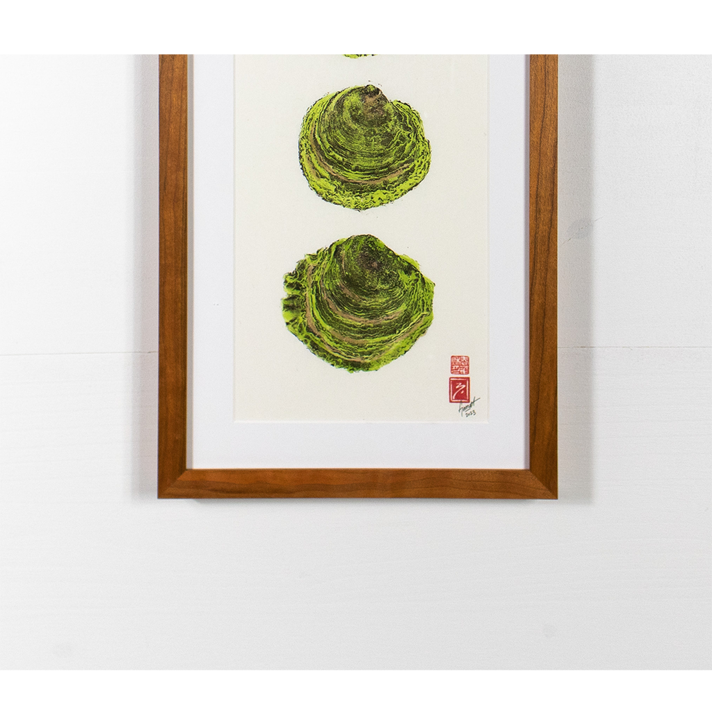 Maine Belon Oysters - 12in x 27.5in