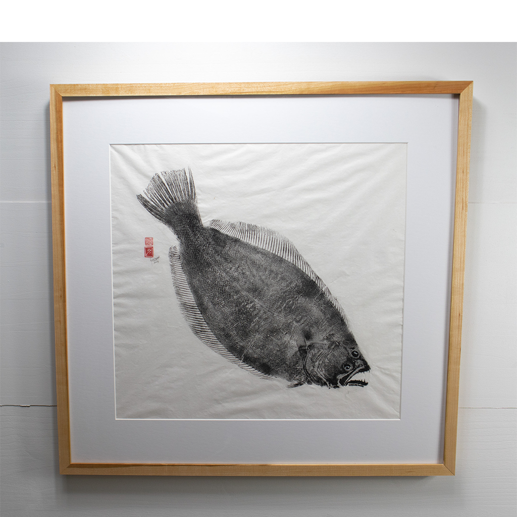 Summer Flounder (Fluke) - 28in x 29in