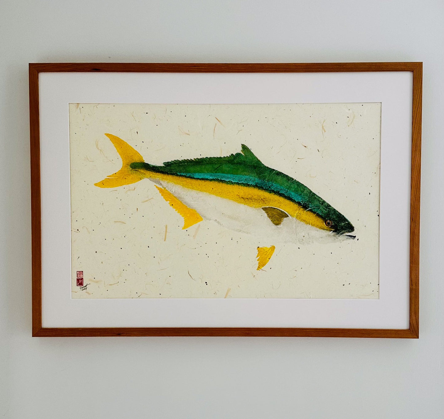 ハマチ (Hamachi) - 37in x 26in