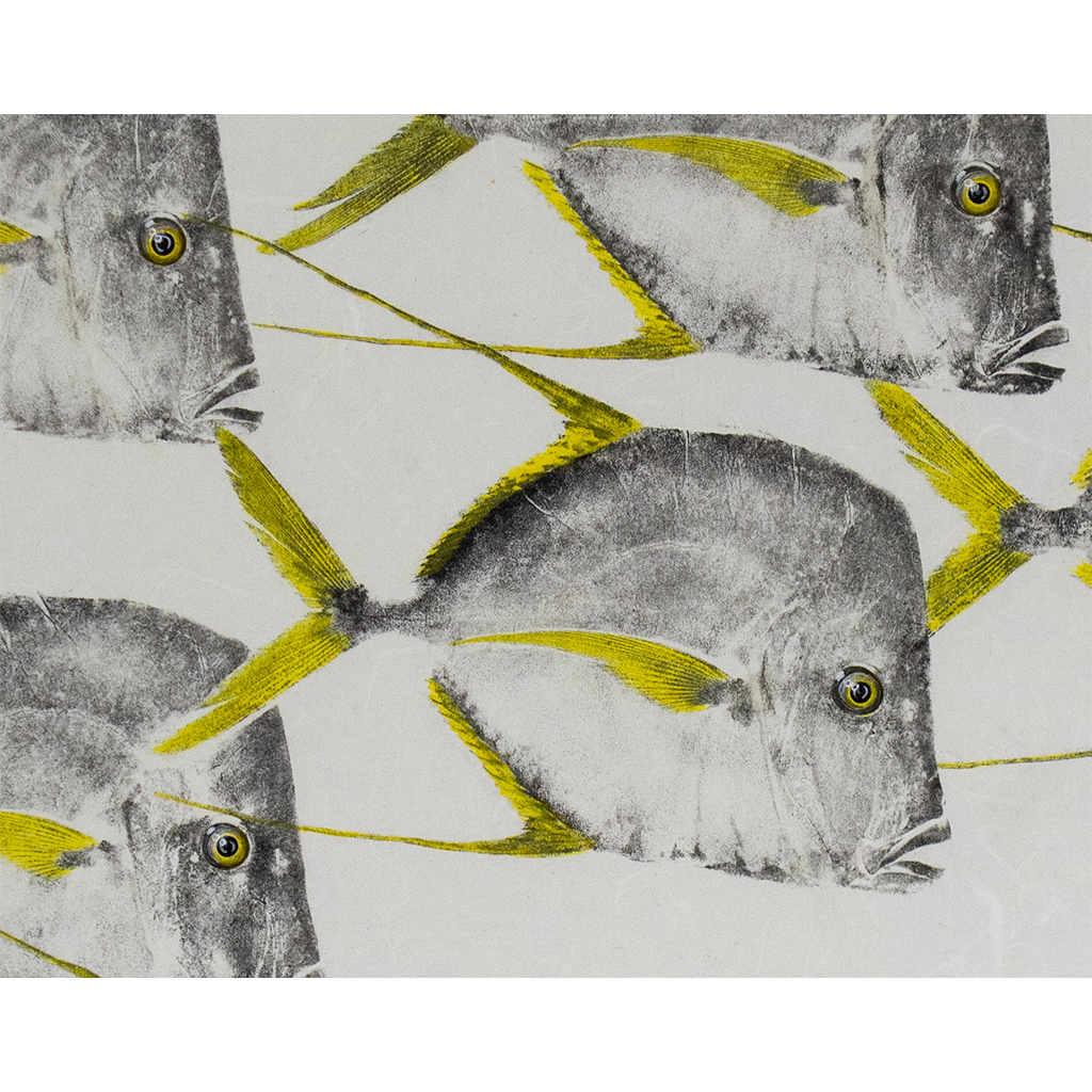 School of Lookdowns - 30in x 22in