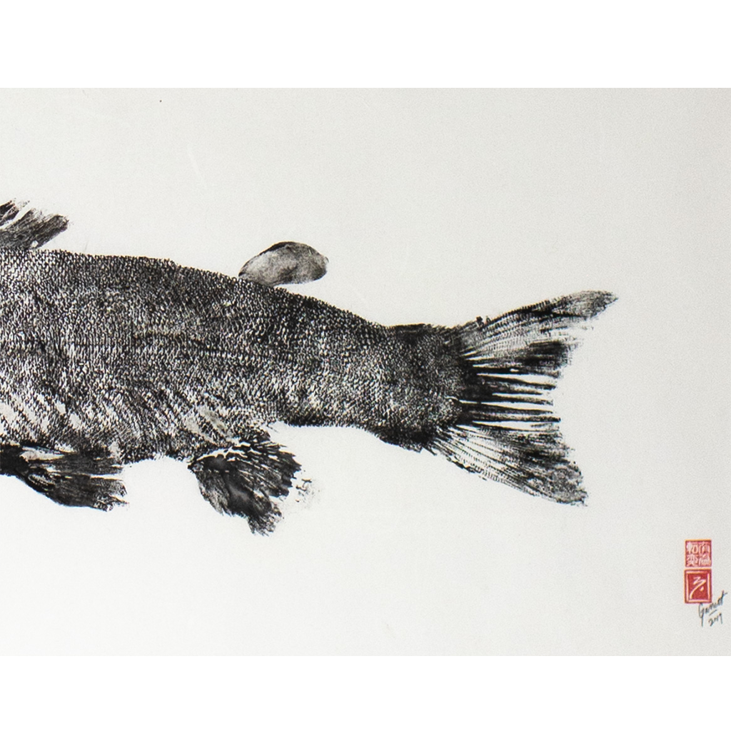 Coho Salmon (Post Spawn) - 41in x 21in