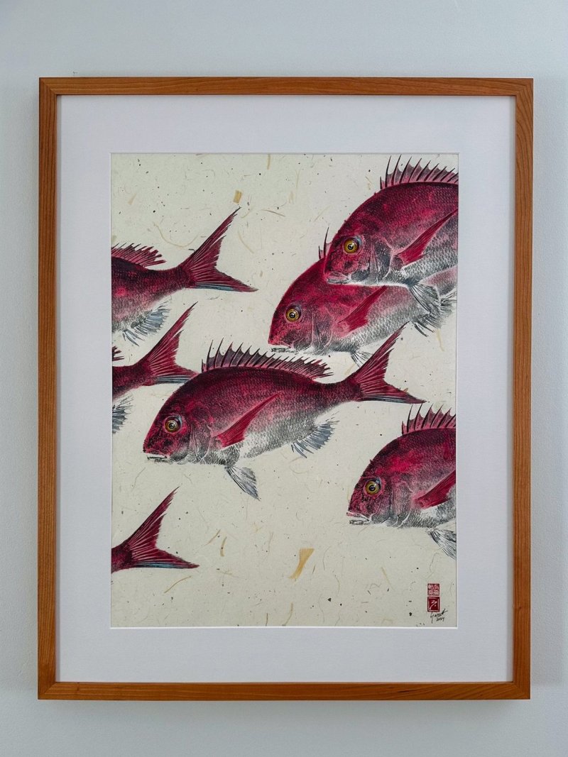 マダイ (Sea Bream/Snapper) - 25in x 31.5in