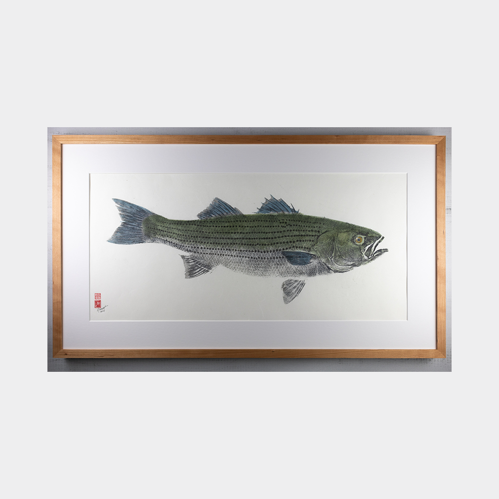 Striped Bass No. 7 - 39in x 22in