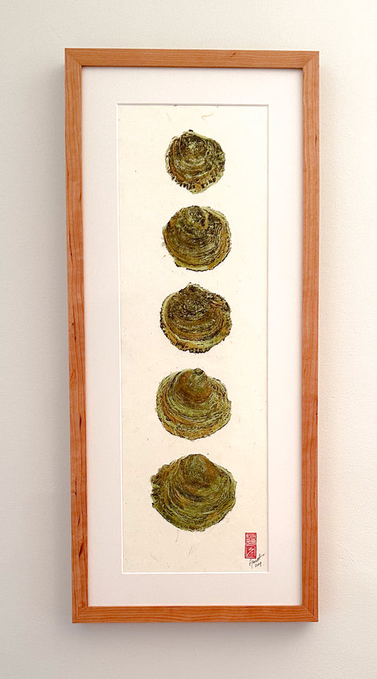 Maine Belon Oysters No. 2 - 8in x 24in