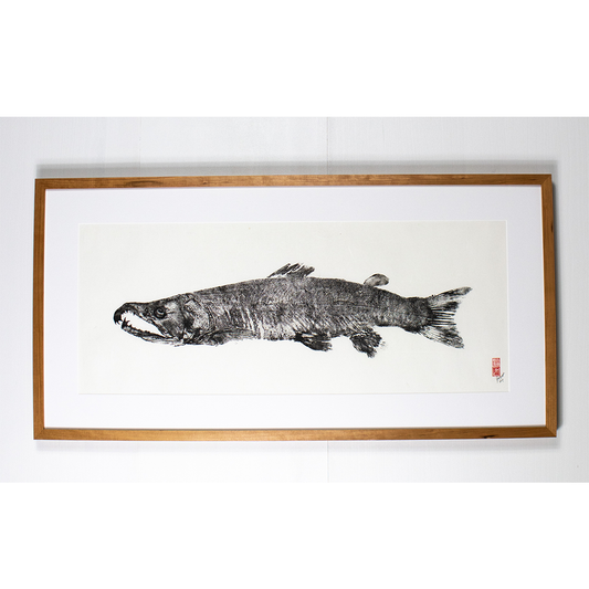 Coho Salmon (Post Spawn) - 41in x 21in