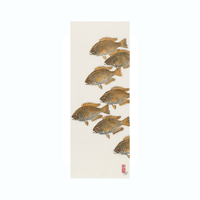 Rock Bass No. 7 - 16.5in x 32.5in