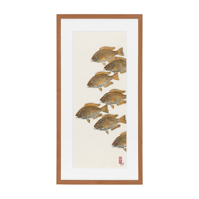 Rock Bass No. 7 - 16.5in x 32.5in