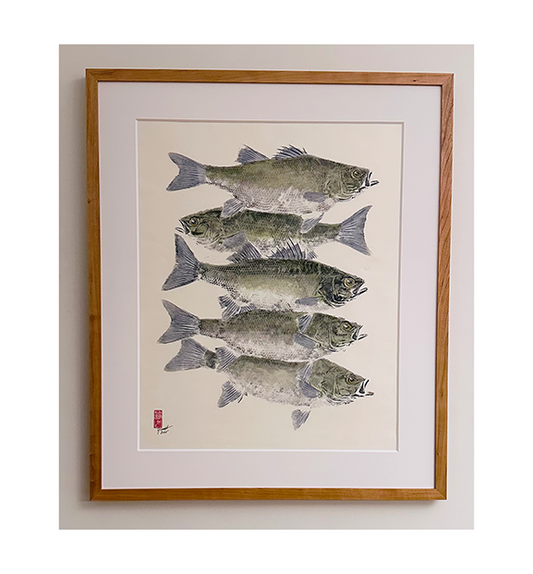 Sea Bass No. 1 - 27in x 32in