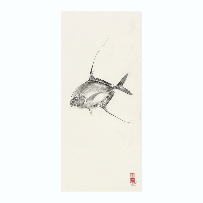 Thread Fin No. 1 - 19in x 34in