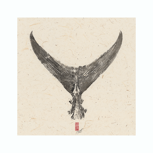 Bluefin Tuna Tail No. 3 - 27.5in x 27in