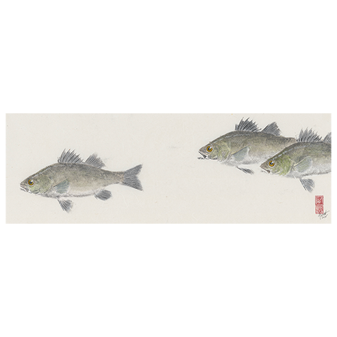 White Perch No. 3 - 31.5in x 16in