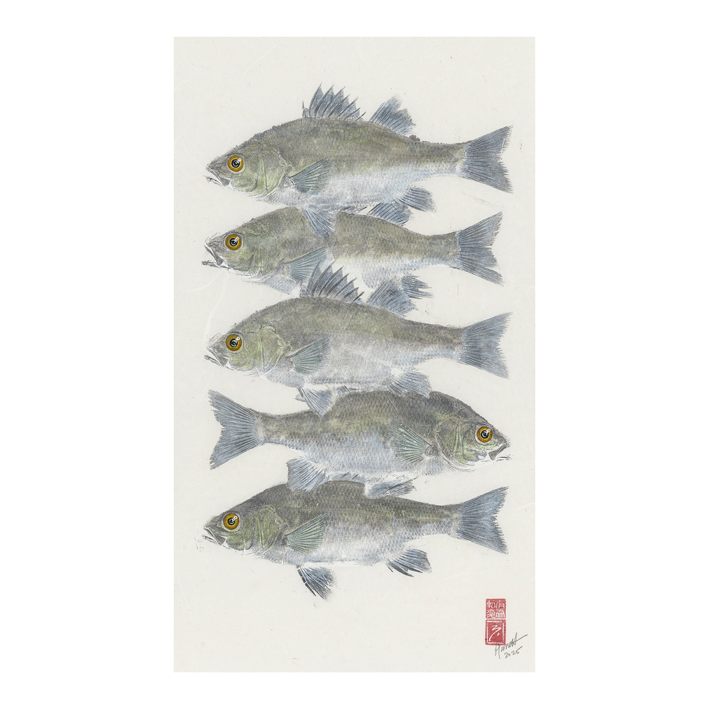 White Perch No. 5 - 18.5in x 26.5in