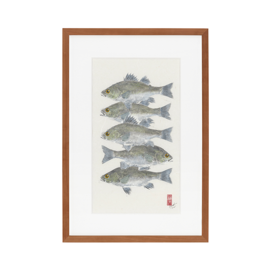 White Perch No. 5 - 18.5in x 26.5in
