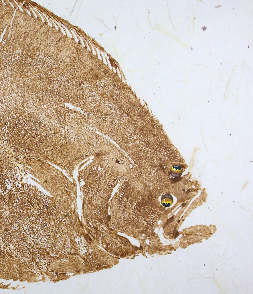 Olive Flounder - 30in x 22in