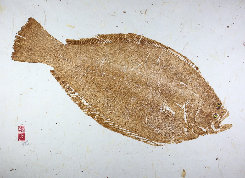 Olive Flounder - 30in x 22in