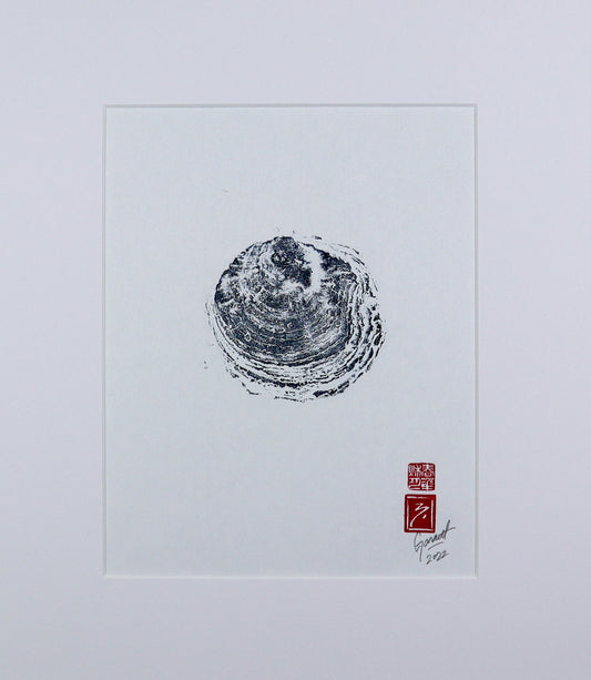 Maine "Belon" No.3 - 8in x 10in