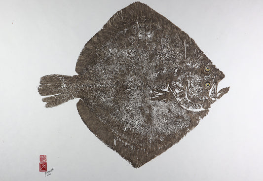 North Atlantic Turbot - No. 2 30in x 22in